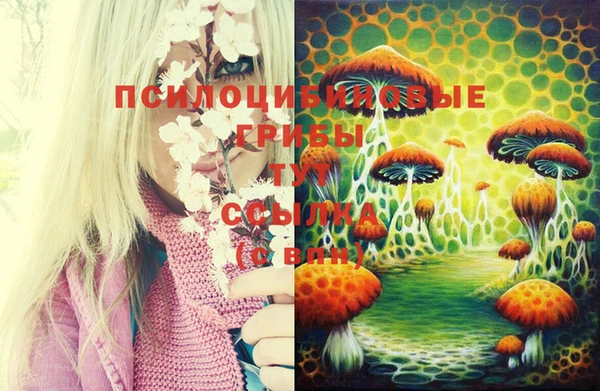 соль курить ск Зеленокумск