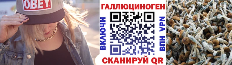 Купить где  Лихославль  Псилоцибиновые грибы мухоморы 